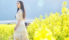 高郵湖湖上花海、鎮(zhèn)國(guó)寺、盂城驛、平津古堰、西堤純玩休閑二日游